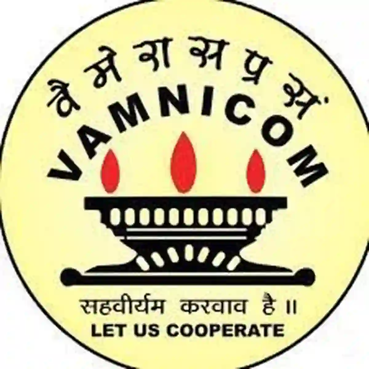 VAMNICOM पुणे अंतर्गत 09 रिक्त पदांची भरती; अर्ज करा | VAMNICOM Pune Bharti 2025