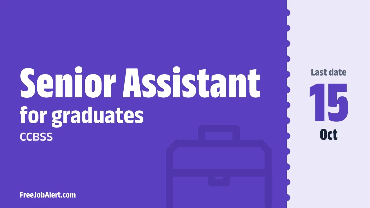 CCBSS Senior Assistant Recruitment 2026 – Apply Offline CCBSS Senior Assistant Recruitment 2026 – Apply Offline