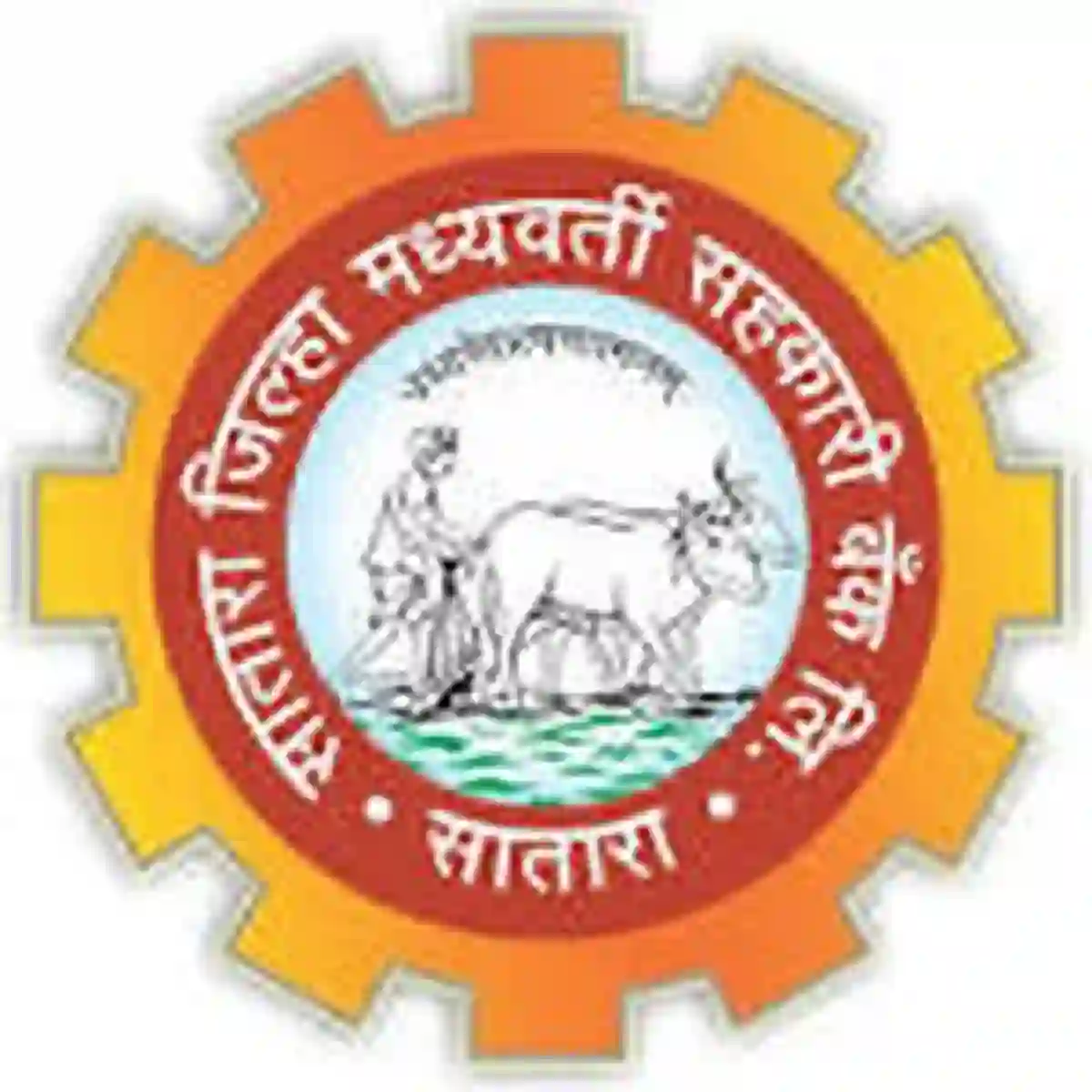 सातारा जिल्हा मध्यवर्ती सहकारी बँक निवड यादी, प्रतीक्षा यादी जाहीर ! | Satara DCC Bank Result