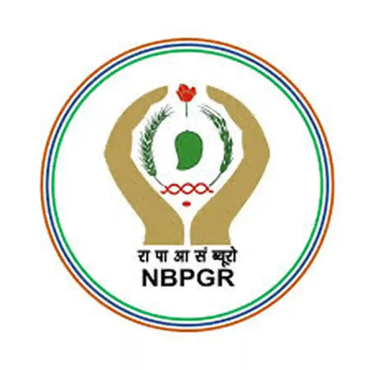 ICAR-नॅशनल ब्युरो ऑफ प्लांट जेनेटिक रिसोर्सेस अंतर्गत 03 रिक्त पदांची भरती; येथे बघा संपूर्ण माहिती !! | NBPGR Bharti 2026