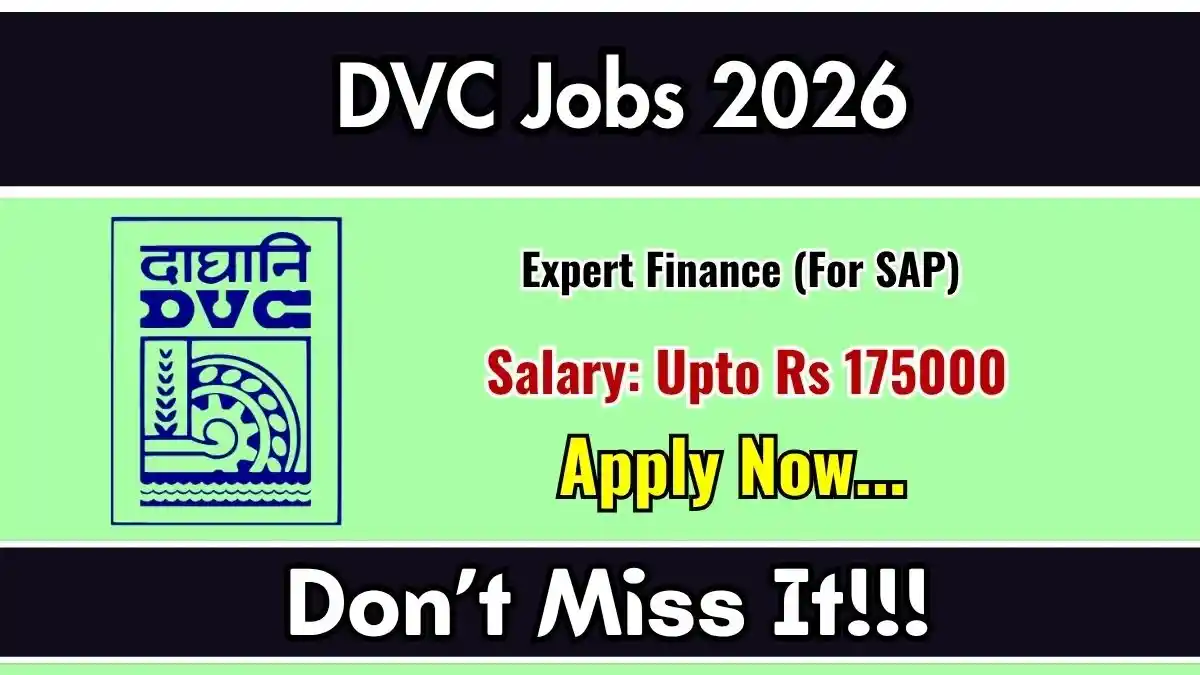 DVC Expert Finance Recruitment 2026 - Apply Online DVC Expert Finance Recruitment 2026 - Apply Online