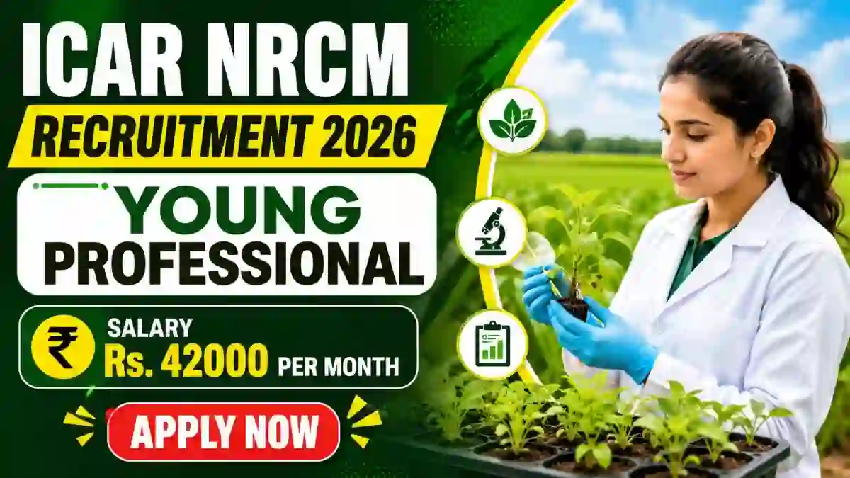 ICAR NRCM Young Professional II Recruitment 2026 - Walkin