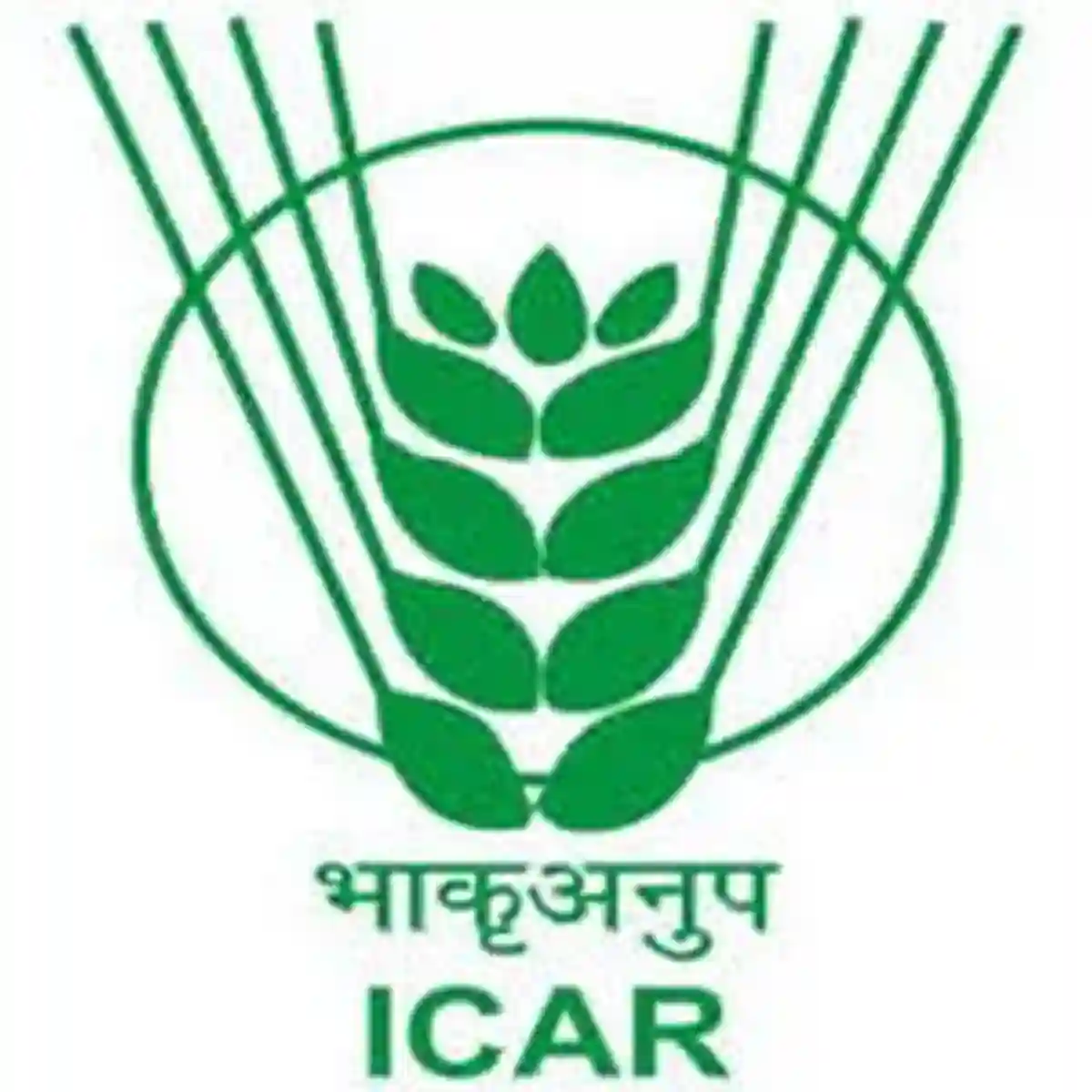 ICAR-केंद्रीय कापूस तंत्रज्ञान संशोधन संस्था मुंबई अंतर्गत “या” रिक्त पदांकरिता भरती !! | ICAR-CIRCOT Recruitment 2026