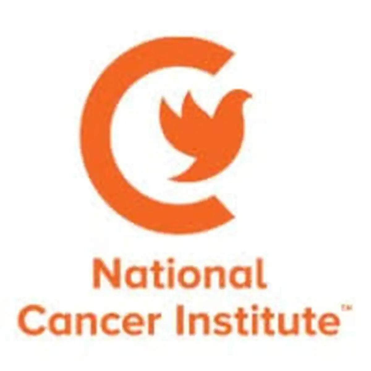 राष्ट्रीय कर्करोग संस्था (NCI) नागपूर येथे 50 रिक्त पदांची नवीन भरती !! | NCI Nagpur Recruitment 2026