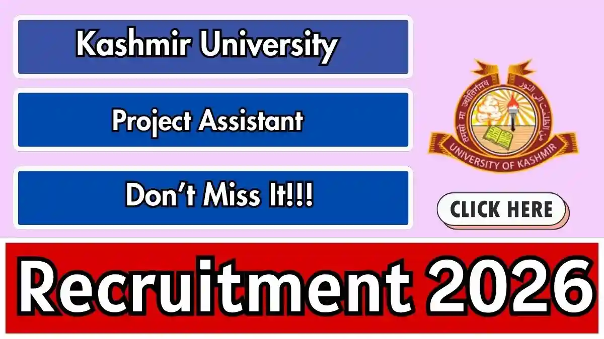 Kashmir University Project Assistant Recruitment 2026 - Apply by Email