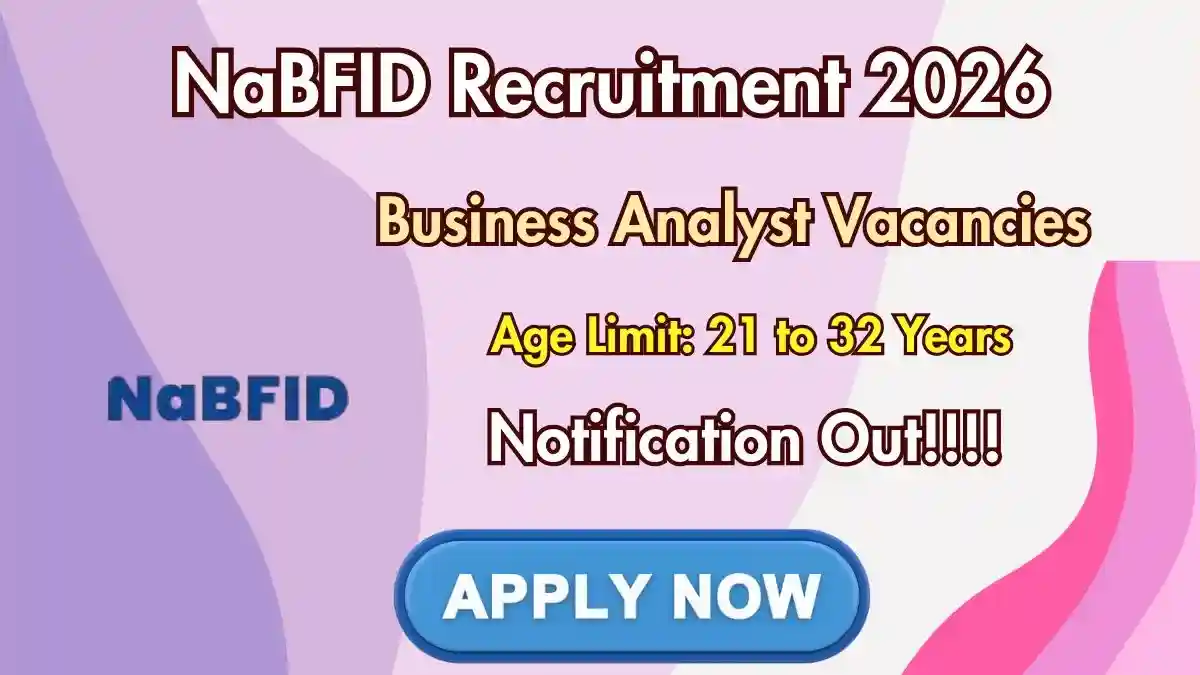 NaBFID Business Analyst Recruitment 2026 - Apply Online NaBFID Business Analyst Recruitment 2026 - Apply Online