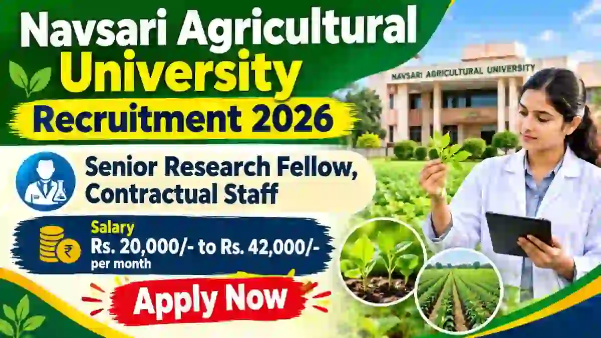 Navsari Agricultural University Recruitment 2026 - Apply Offline for Senior Research Fellow Posts Navsari Agricultural University Recruitment 2026 - Apply Offline for Senior Research Fellow Posts