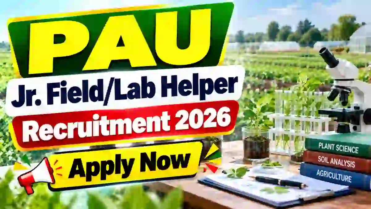 PAU Jr. Field/ Lab Helper Recruitment 2026 - Apply Offline PAU Jr. Field/ Lab Helper Recruitment 2026 - Apply Offline
