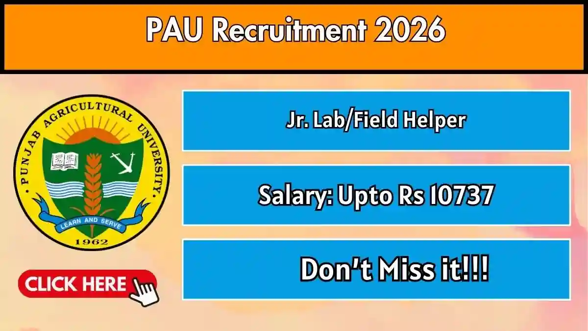 PAU Jr. Lab/Field Helper Recruitment 2026 - Apply Offline PAU Jr. Lab/Field Helper Recruitment 2026 - Apply Offline