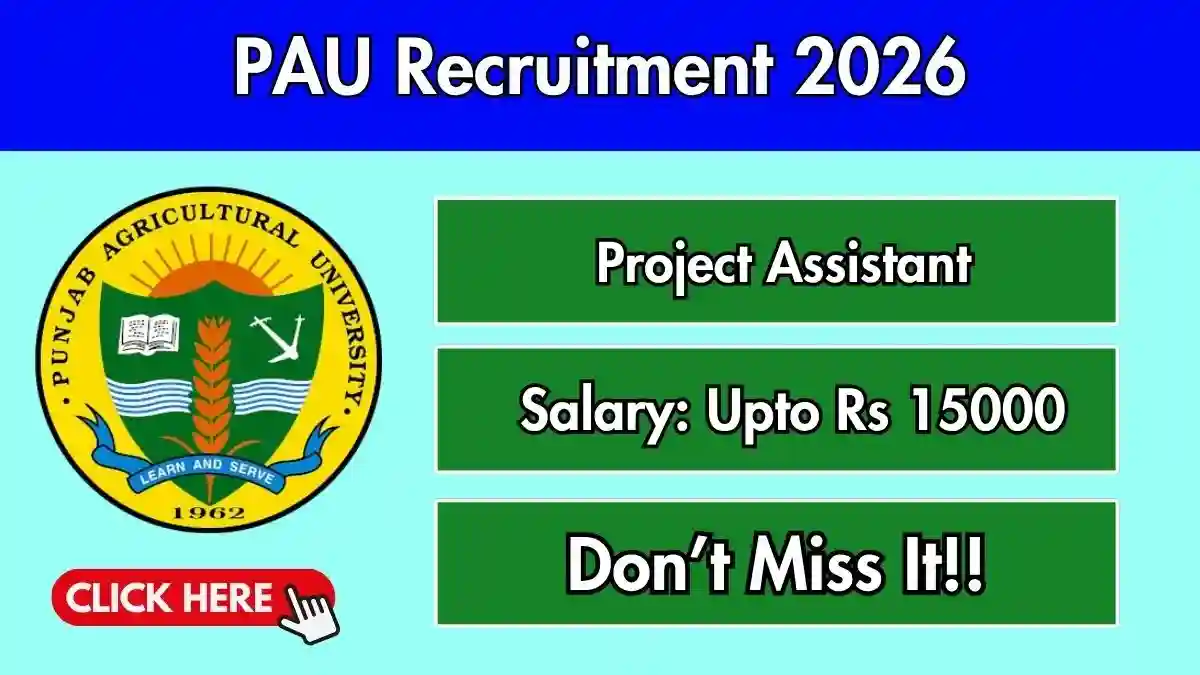 PAU Project Assistant Recruitment 2026 - Apply Offline