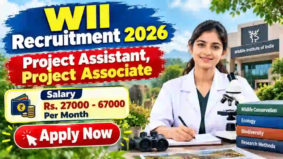 WII Recruitment 2026 - Apply Online for 11 Project Assistant, Project Associate Posts WII Recruitment 2026 - Apply Online for 11 Project Assistant, Project Associate Posts